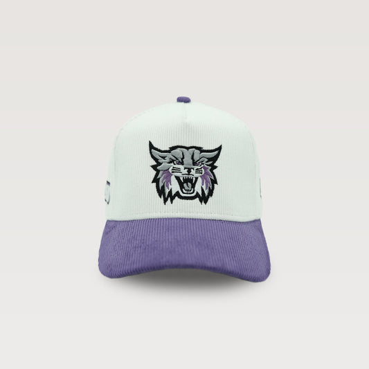 The Weber State Corduroy A-Frame
